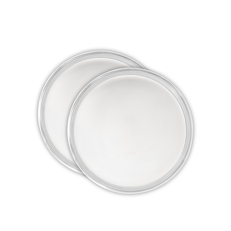 SS Quarter Plate (Set of Two)