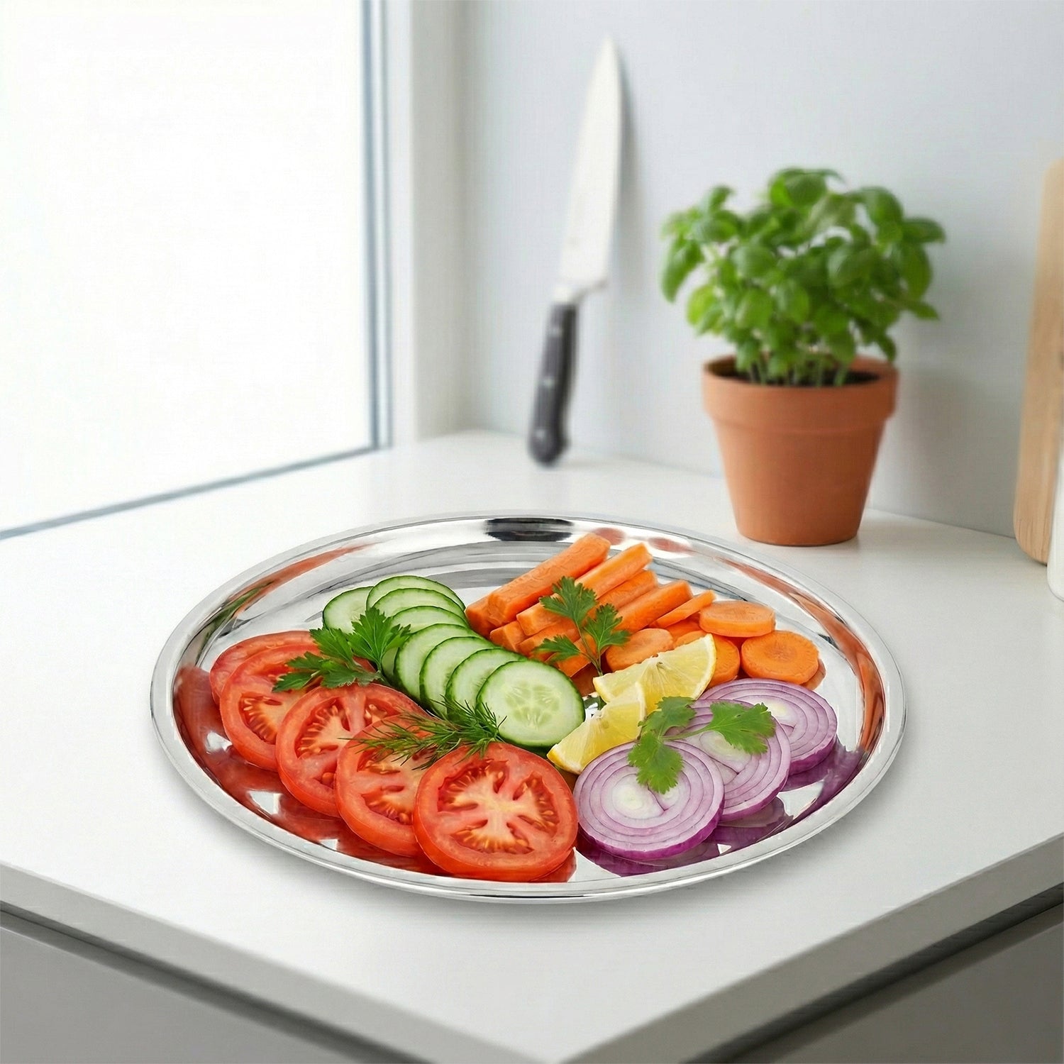 SS Quarter Plate (Set of Two)