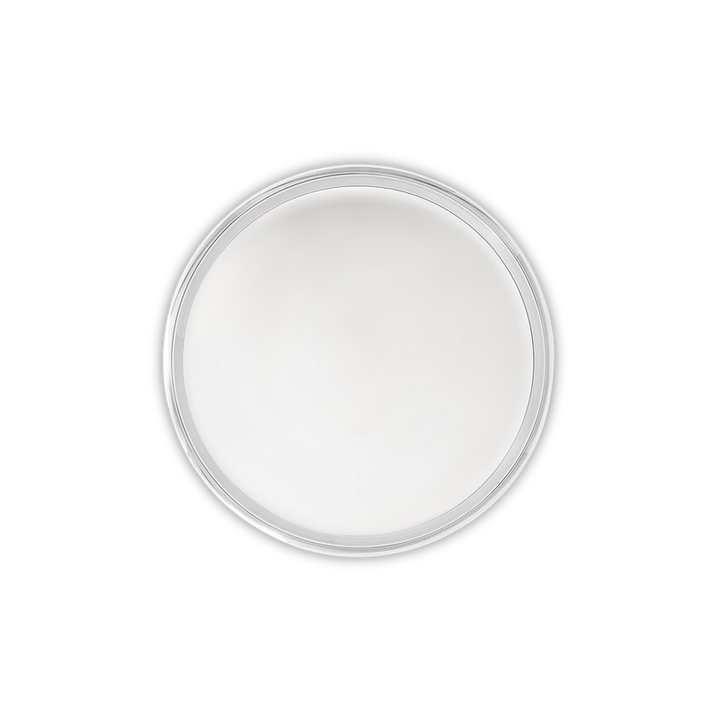 SS Quarter Plate (Set of Two)