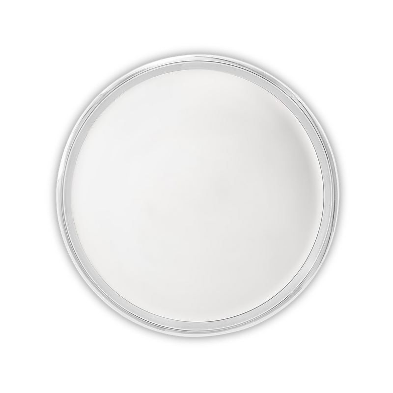 SS Full Plate (Set of Two)